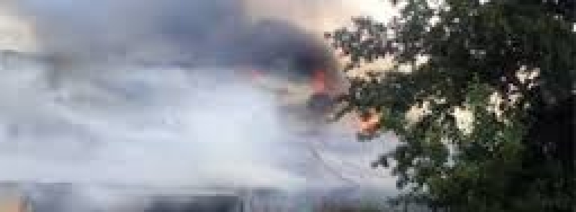 Два кафе сгорели в Шымкенте утром  